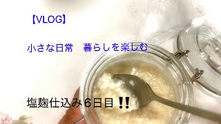 【VLOG】小さな日常　暮らしを楽しむ　塩麹仕込み6日目