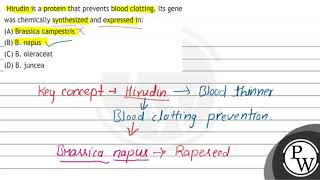 Hirudin is a protein that prevents blood clotting. Its gene was chemically synthesized and expre...