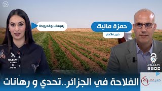 الفلاحة في الجزائر..تحدي و رهانات