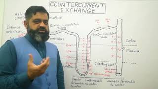 Countercurrent multiplier Urdu /Hindi medium @prof.masoodfuzail|Countercurrent Exchange| Nephron