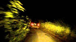 Into the Jungle- Shimsha nite drive