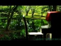 【羊と鋼の森】心身に安らぎと癒しを与えるピアノの森～piano of healing forest