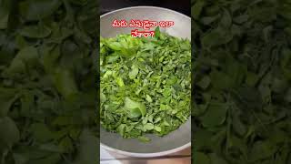 మీరు ఎపుడైనా ఇలా చేసారా?#easyrecipe #healthyfood #simple #village #karampodi #healthykarampodi