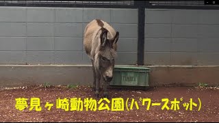 夢見ヶ崎動物公園に行く