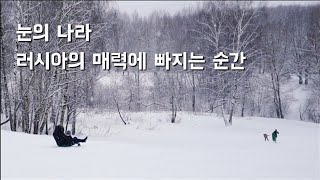 러시아 겨울의 소소한 매력에 빠지는 순간/снежная зима в лесу