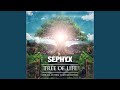 Tree of Life (Official Anthem Fairytale Festival) (Extended Mix)