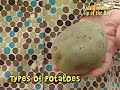 types of potatoes