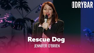 When Rescuing A Dog Just Isn't For You. Jennifer O'Brien