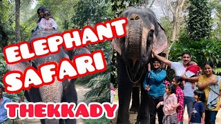 Elephant Safari in Thekkady Kerala ഒരു അടിപൊളി ആന സഫാരി തേക്കടി🐘🐘🐘 #Elephantsafari #thekkady