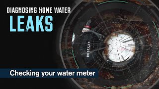 Diagnosing Home Water Leaks: Using your Water Meter as a Tool
