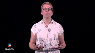 ProgramX: Introduction