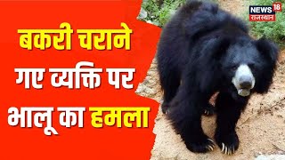 Sirohi: बकरी चराने जंगल में गए, भालू ने किया हमला | Bear Attack | Rajasthan | Forest | Hindi