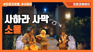 [모로코여행 #8] NASA에서 봤던 화성 표면을 사하라에서 만날 수 있다. 화석이 굴러다니는 사하라