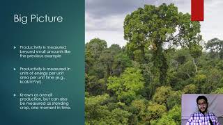 APES Topic 1.8, Primary Productivity