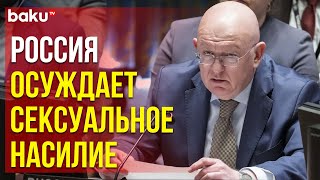 Василий Небензя жёстко раскритиковал доклад Прамилы Паттен по Украине