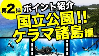 【人気企画】ポイント紹介第2弾！！海好きなら１度は行きたい！1度では足りない！国立公園！ケラマ諸島編