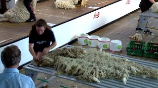 Trin Gwlan Canolradd (Cymal 1) | intermediate Woolhandling Comp Heat1