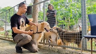 DOGVENTURE episode 6 - INDAHNYA BERBAGI | SHELTER JAAN (JAKARTA ANIMAL AID NETWORK)