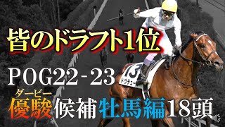 【pog22-23】みんなのドラフト１位牡馬編！ダービー候補の2歳馬18頭を一気に紹介します！【2歳馬】