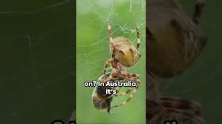 Did you know you eat spiders? #shorts #viral #nature #omg #wow  #spiders