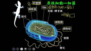 10902高一必修生物ch1 1 21原核細胞的構造一書