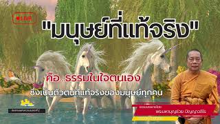 EP.481 ธรรมคลายทุกข์  \