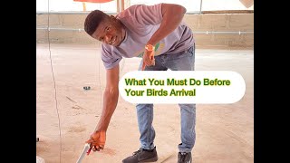 4 Things You Should Do Before Broilers Arrival