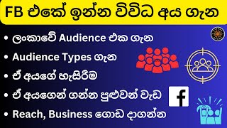 Facebook Audience Analysis Sinhala | Audience Research, FB Users Types in Sri Lanka for FB Pages 2