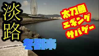 太刀魚【エギング】サバゲー調査！！in淡路