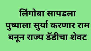 लिंगोबा सापडला पुष्पाला सुर्या करणार राम बनून राज्य डॅडीचा शेवट