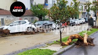 Εικόνες βιβλικής καταστροφής στον Βόλο – Πλημμύρισαν σπίτια και επιχειρήσεις