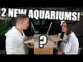 Unboxing aquarium supplies and setting up 2 NEW fish tanks! The king of DIY