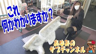 これ！何かわかりますか？