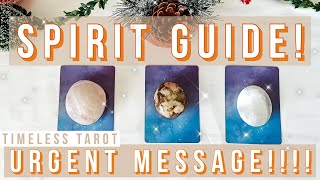 ⚠️🚨URGENT MESSAGE🚨⚠️FROM YOUR SPIRIT GUIDES💓🔮🐞 You Need To Hear This!!🤩🔮🐱 Timeless Tarot