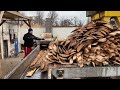 live wood chipping – can this machine handle it