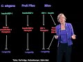 cynthia kenyon ucsf part 1 genes that control aging