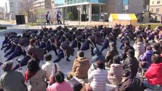 第14回浜松がんこ祭 1日目(2014/3/15)「東京理科大学Yosakoiソーラン部」