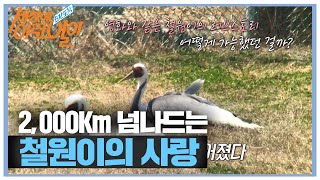 왕복 2,000km 넘는 거리도 막을 수 없었던 ‘철원이’의 찐사랑♥ㅣ순간포착 세상에 이런 일이(Instant Capture)ㅣSBS Story