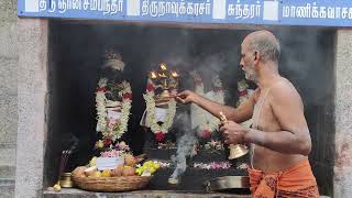 திருஞானசம்பந்தர் குருபூஜை