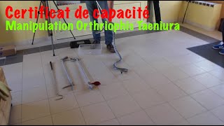 Manipulation Orthriophis Taeniura dans le cadre de la formation CDC