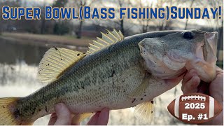 Pond Fishing on Super Bowl Sunday (Quick Trip Before the Game!) Ep. #1