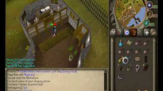 Robin from level 3 clue scroll