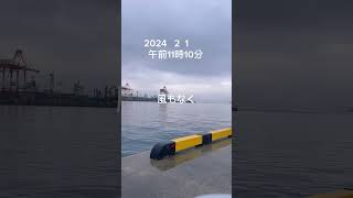 北九州の海　2024   2   1   午前11時10分　　フカセ釣り　#shorts