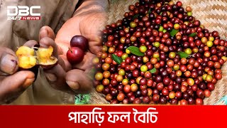 পাহাড়ের পুষ্টিকর দেশি ফল বৈচি | DBC NEWS Special