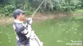 Fresh Water Fishing - Catching A Giant Snakehead Fish