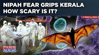 Kerala Nipah Virus Scare: കണ്ടെയ്ൻമെൻ്റ് സോണുകൾ പ്രഖ്യാപിച്ചു, സ്കൂളുകൾ, ഓഫീസുകൾ അടച്ചു| ഇത് എത്രത്തോളം അപകടകരമാണ്?