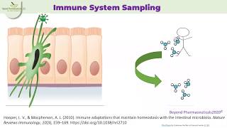 HOW THE IMMUNE SYSTEM WORKS WEBINAR