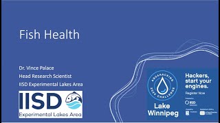 AquaHacking Challenge Lake Winnipeg 2020 - Fish Health (Long)