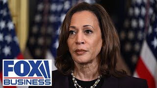 'BLOODBATH': Journalist torches Kamala's latest progressive plan