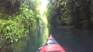 Lake McLaren scenic kayak tour